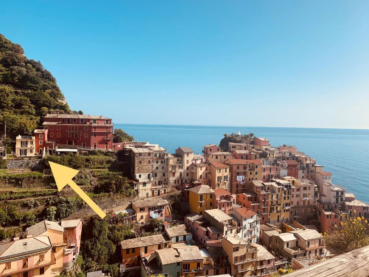 Orizzonti Apartments Manarola Dış mekan fotoğraf